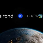 Elrond * Terra Virtua